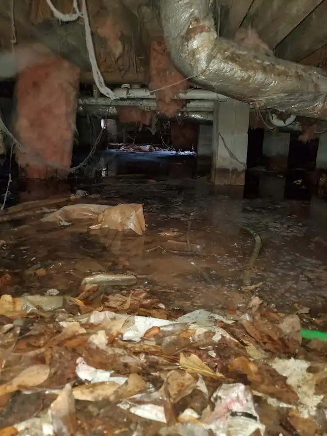 Crawl space flood assessment for Leak Detection & Repair in Shelley