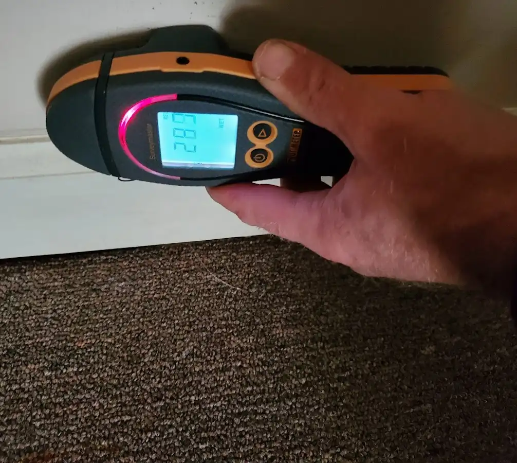 Moisture detection at baseboard during Sewage Cleanup & Sanitation in Shelley